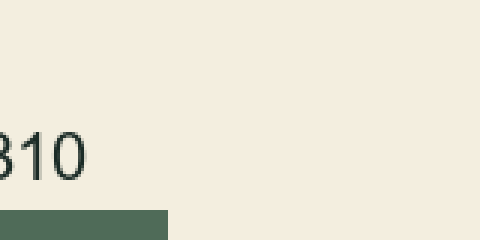The chart label 310 from the lossless PNG.